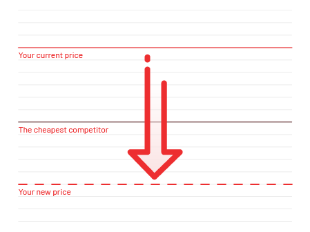 Dynamic Pricing and Repricing