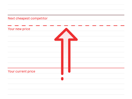 Dynamic Pricing and Repricing